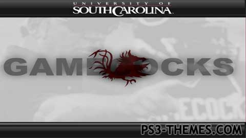 1745-southcarolinagamecocks.jpg