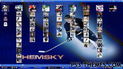 4248-preview-icon-hemsky.jpg