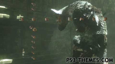 4942-thelastguardian.jpg